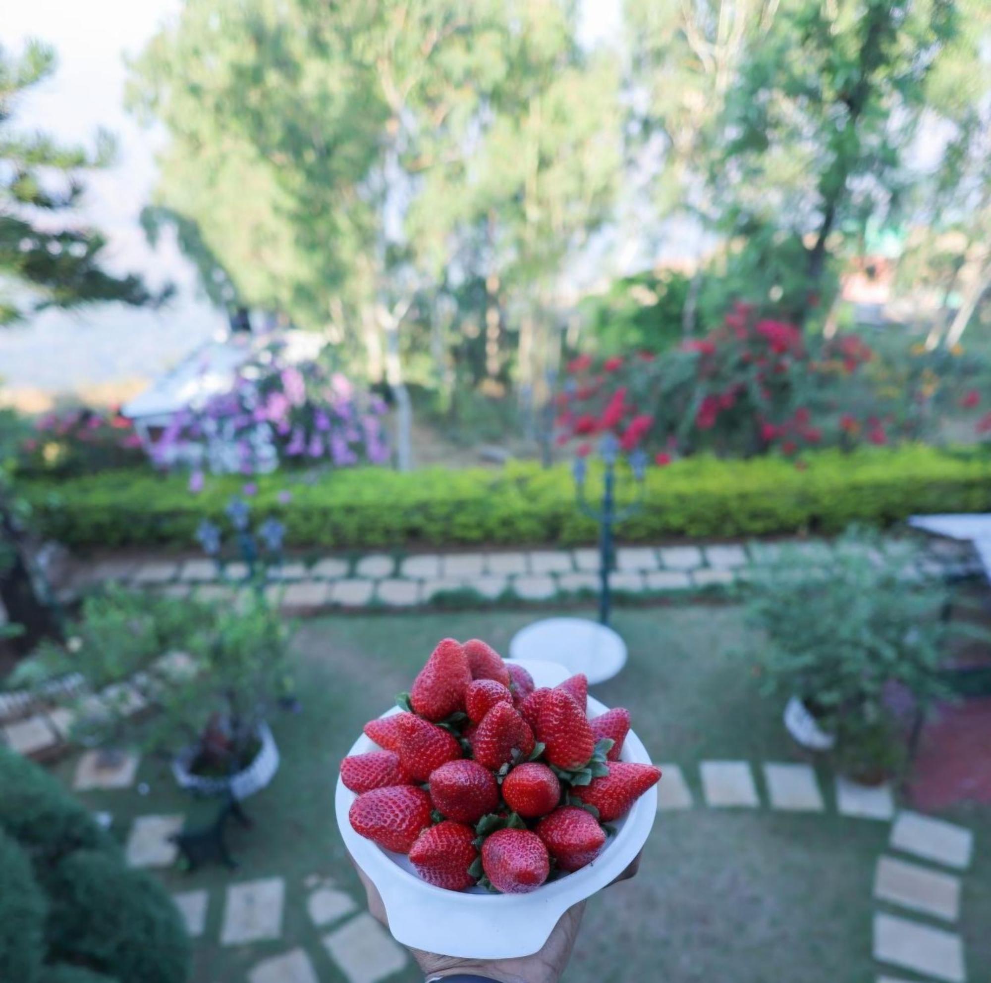 Valleycrest Villa With Swimming Pool Mahabaleshwar Luaran gambar